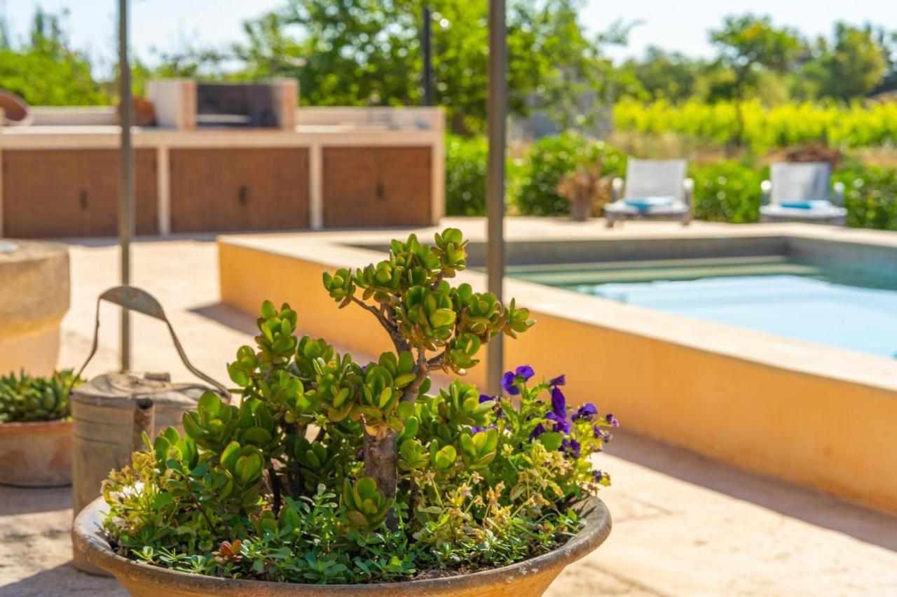 Finca Campestre Es Verger Blue Binissalem Εξωτερικό φωτογραφία